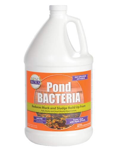 Pondworx Pond Bacteria - Formulated For Large Ponds, Water Features And Safe